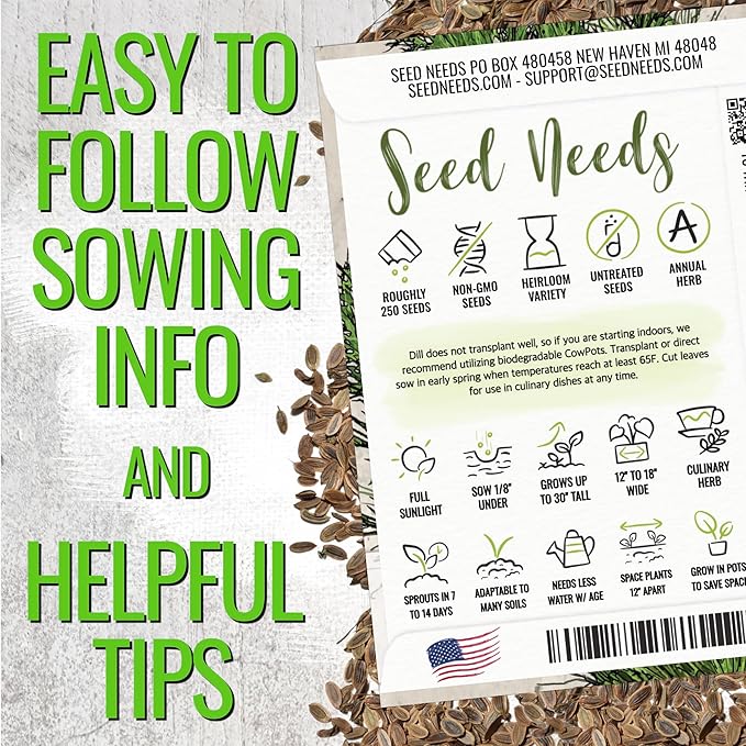 Seed Needs Italian Parsley & Dill Seeds for Planting Fresh Kitchen Herbs - Non-GMO Heirloom & Untreated Perennial Herb Seed to Plant a Culinary Garden Indoors or Outdoors (2 Packs)