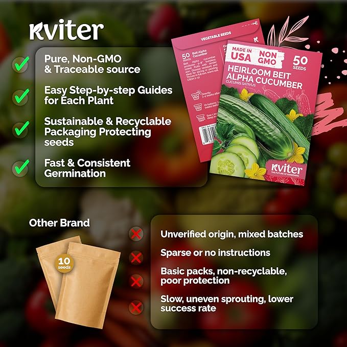 KVITER 50 Beit Alpha Cucumber Seeds for Planting (Cucumis sativus) – Persian Cucumbers, Parthenocarpic Cucumber Organic – Non GMO, Heirloom Vegetable Seeds for Home Garden, Containers & Greenhouses