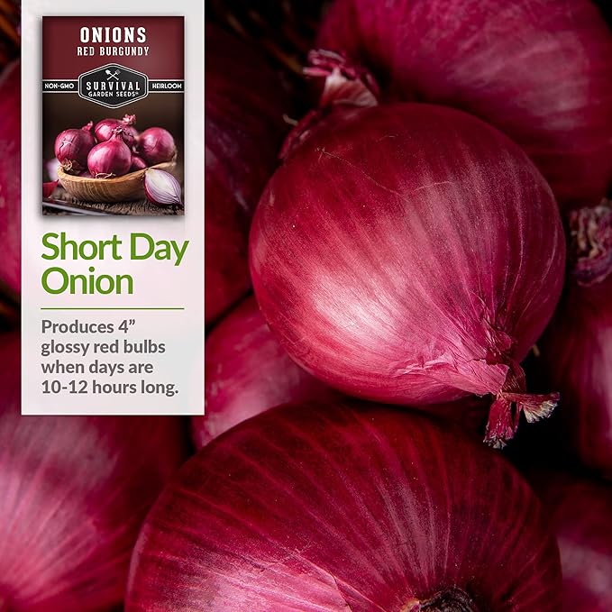 Red Burgundy Onion Seeds for Planting – Sweet Mild Short Day Red Onions with High Yield & Great Flavor – Heirloom, Non-GMO, Open-Pollinated Variety – Survival Garden Seeds (3 Packs)