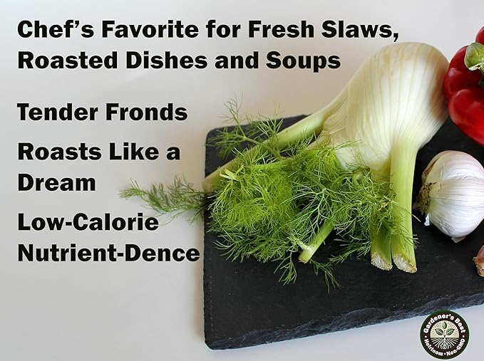 Florence Fennel Seeds for Planting – Non-GMO, Heirloom Variety – Sweet & Aromatic Bulbs & Fronds – Culinary & Herbal Gardens (1 Pack | 200 Seeds)