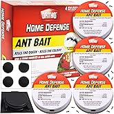 STEM Liquid Ant Baits, Kills The Queen and Colony, for Indoor Use, 8 Spill Proof Bait Stations