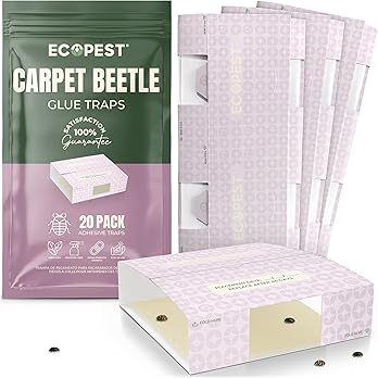 Carpet Beetle Traps – 20 Pack | Sticky Indoor Glue Boards for Carpet Beetles, Larvae & Other Crawling Insects | Non-Toxic Pest Control Trap & Monitor for Closets, Storage Areas, and More