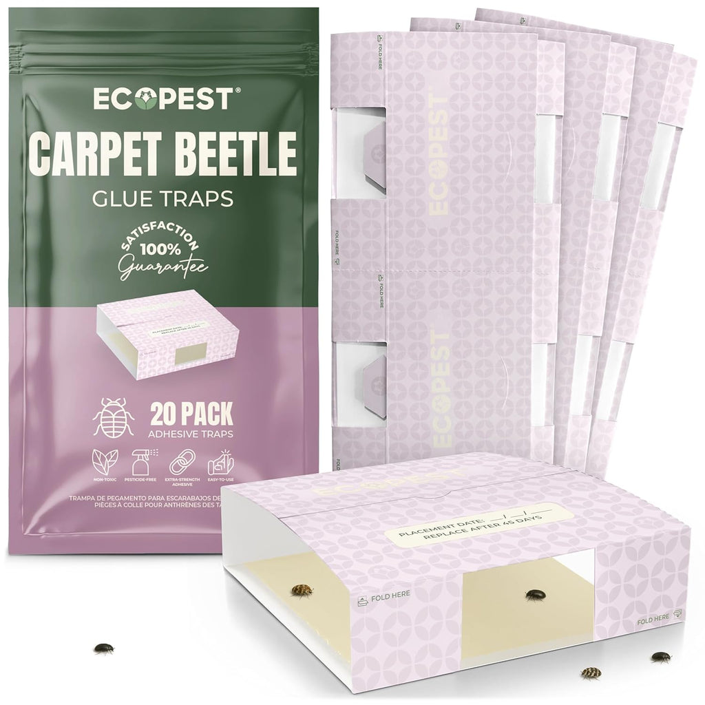 Carpet Beetle Traps – 20 Pack | Sticky Indoor Glue Boards for Carpet Beetles, Larvae & Other Crawling Insects | Non-Toxic Pest Control Trap & Monitor for Closets, Storage Areas, and More