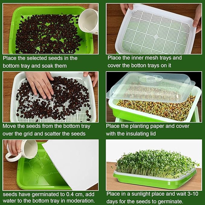 SHUESS 6 Pack Seed Sprouting Tray with Drain Holes BPA Free Nursery Tray Microgreens Growing Trays Wheatgrass Grower Sprouting Container Seed Germination Propagation Trays for Garden Home Office