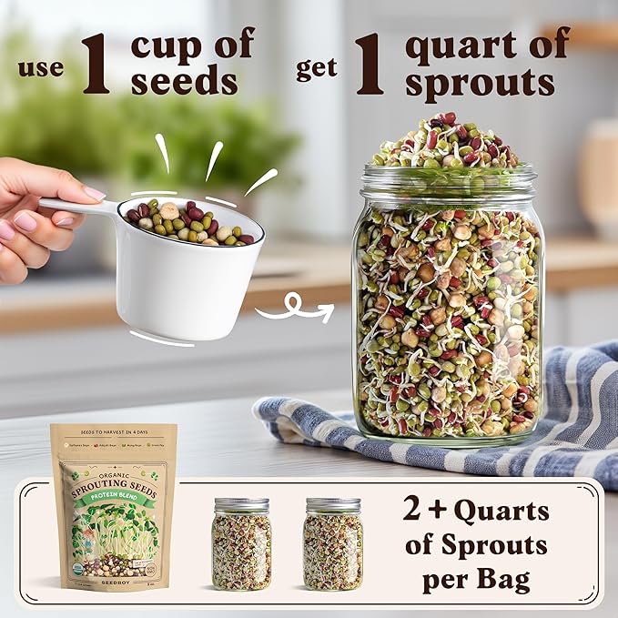 Seedboy Organic Non-GMO Sprouting Seeds, Superfood & Protein Blend – 2 Pack Bundle – USA Grown Sprouting & Microgreens Seeds – Two 8 oz Bags Makes 12 Quarts / 36 Servings (Superfood/Protein)