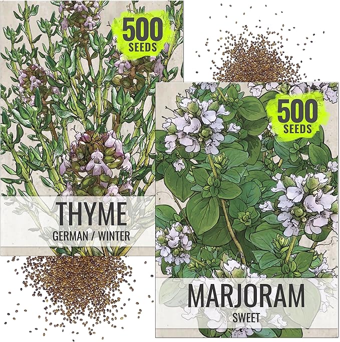 Seed Needs Sweet Marjoram & Thyme Seeds for Planting Fresh Kitchen Herbs - Non-GMO Heirloom & Untreated Perennial Herb Seed to Plant a Culinary Garden Indoors or Outdoors (2 Packs)