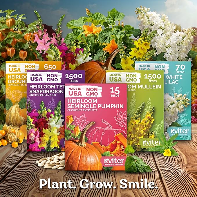 KVITER 50 Beit Alpha Cucumber Seeds for Planting (Cucumis sativus) – Persian Cucumbers, Parthenocarpic Cucumber Organic – Non GMO, Heirloom Vegetable Seeds for Home Garden, Containers & Greenhouses