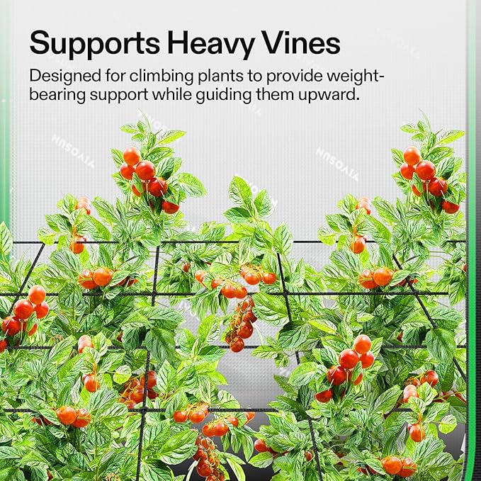 VIVOSUN 3 x 3Ft. Elastic Trellis Netting with 4 Hooks for Climbing Plants, Vegetables, Fruits, and Flowers, 2-Pack