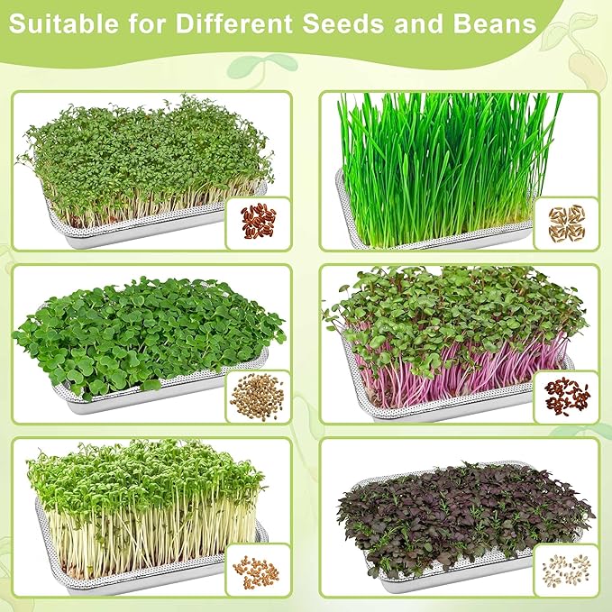 Stainless Steel Sprouts Growing Kit 4-Tier 12.4 inch Trays, Microgreens Growing Kit, Seed Sprouting Tray with Encrypted Mesh Sprouts for Beans Alfalfa Broccoli Wheat Grass