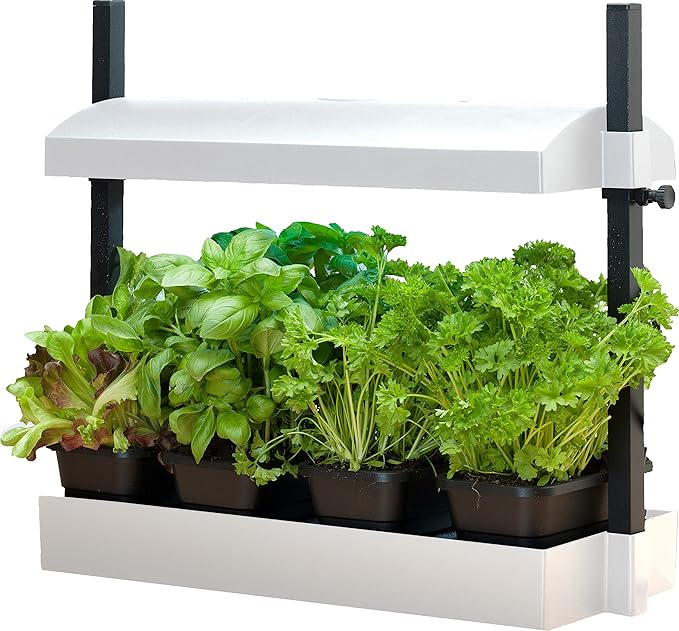 SunBlaster T5HO Indoor Micro Growlight Garden, Home Growing Kit, White