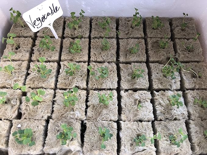 1.5” Rockwool Starter Plugs for Hydroponics, Rockwool Grow Cubes, 1 Sheets of 28 Plugs (Small)