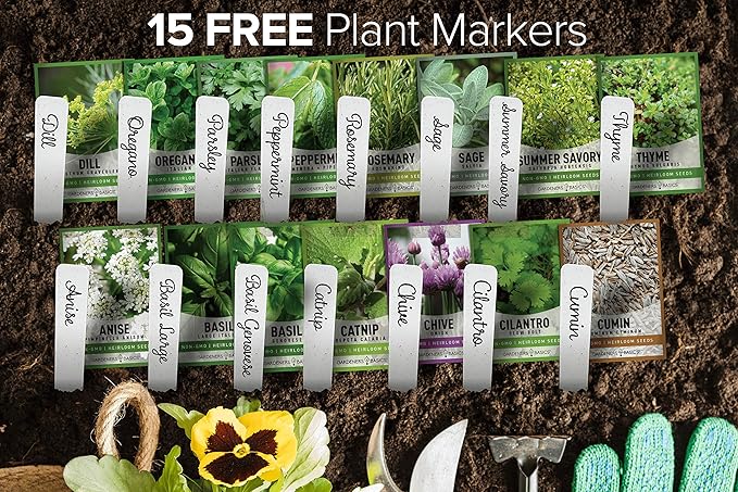 Gardeners Basics, 15 Herb Seeds for Planting Varieties Heirloom Non-GMO 5200+ Seeds Indoors, Hydroponics, Outdoors - Basil, Catnip, Chive, Cilantro, Oregano, Parsley, Peppermint, Rosemary and More