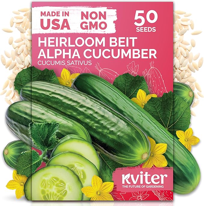 KVITER 50 Beit Alpha Cucumber Seeds for Planting (Cucumis sativus) – Persian Cucumbers, Parthenocarpic Cucumber Organic – Non GMO, Heirloom Vegetable Seeds for Home Garden, Containers & Greenhouses