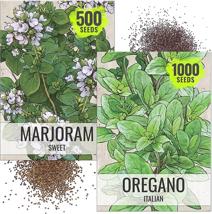 Seed Needs Sweet Marjoram & Italian Oregano Seeds for Planting Fresh Kitchen Herbs - Non-GMO Heirloom & Untreated Perennial Herb Seed to Plant a Culinary Garden Indoors or Outdoors (2 Packs)