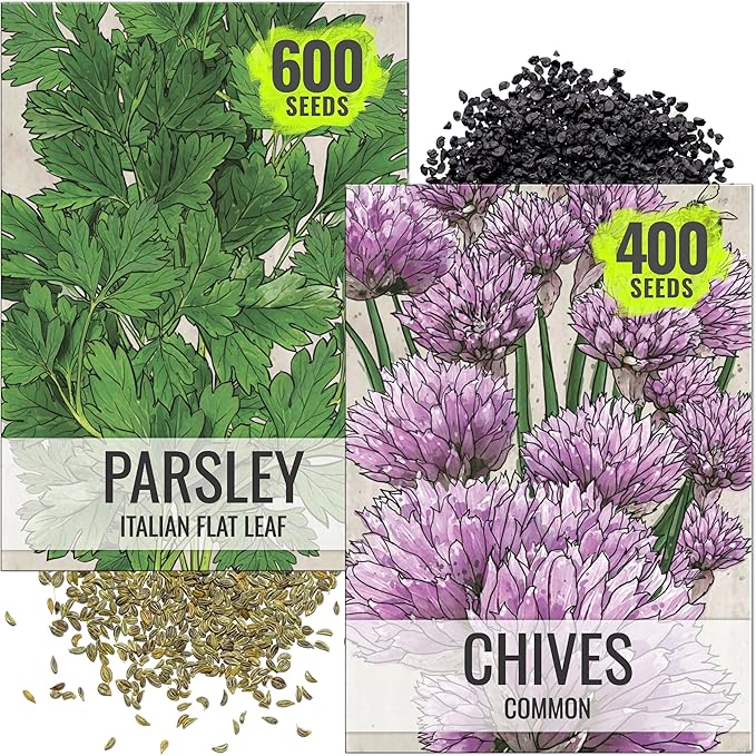 Seed Needs Italian Parsley & Chives Seeds for Planting Fresh Kitchen Herbs - Non-GMO Heirloom & Untreated Perennial Herb Seed to Plant a Culinary Garden Indoors or Outdoors (2 Packs)