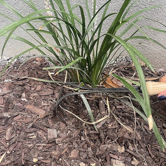 DeWit Bio Rake Cultivator – Garden Hand Tool with Hardened Boron Steel Tines & Ash Hardwood Handle