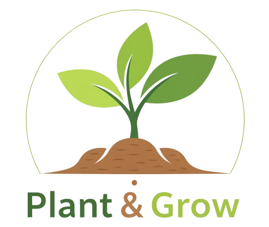 Plant & Grow